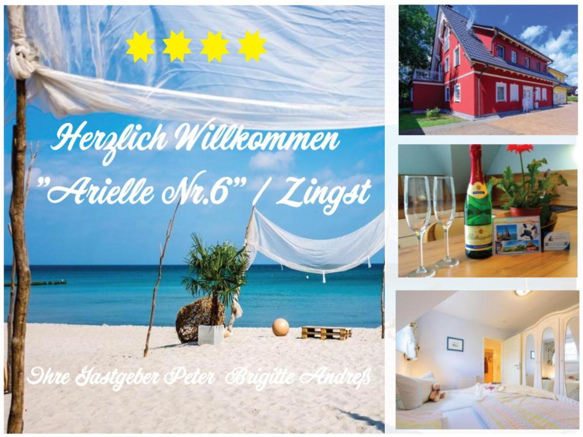 Arielle Nr 6 - Fuer Die Schoenste Zeit Des Jahres - Zingst Eksteriør billede